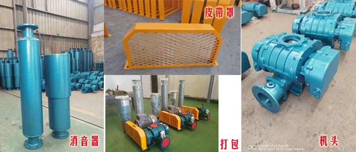 三叶罗茨91手机看片福利（皮带型）实拍