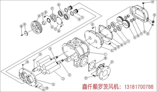 三叶罗茨鼓91手机看片福利安装示意图
