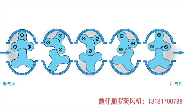 罗茨91手机看片福利工作原理
