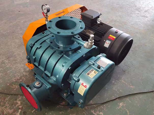 罗茨91手机看片福利厂家发货江西罗茨真空泵XQSSR125v5台(图1)